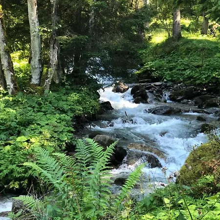 Vergiss Mein Nicht Dom wakacyjny *