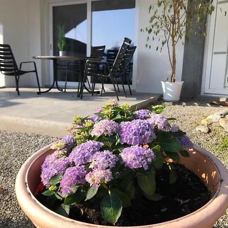 Dom wakacyjny Vergiss Mein Nicht *