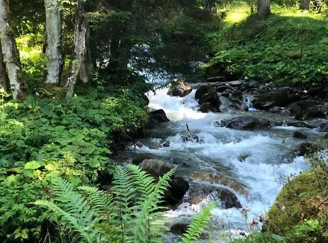 Vergiss Mein Nicht 別荘 *