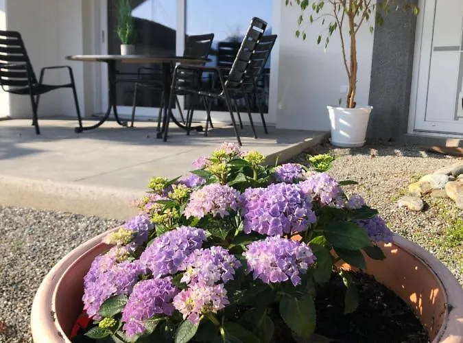 別荘 Vergiss Mein Nicht *